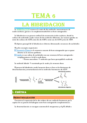 Tema-6-Hibridacion.pdf