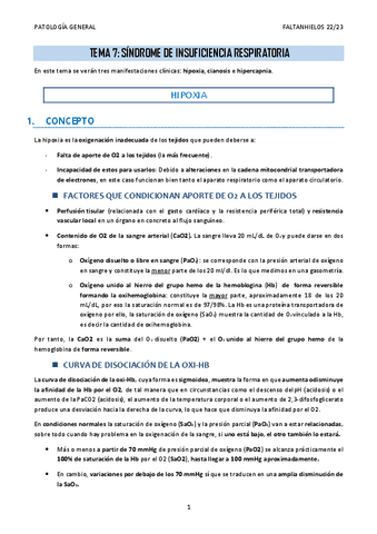 7.-Sindrome-de-insuficiencia-respiratoria.pdf