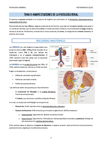11.-Manifestaciones-de-la-patologia-renal.pdf