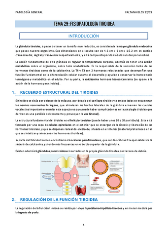 29.-Fisiopatologia-tiroidea.pdf