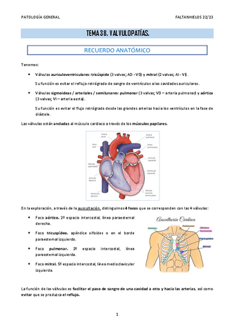 38.-Valvulopatias.pdf