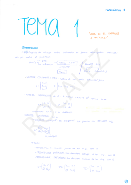 Apuntes tema 1 - MAT I.pdf