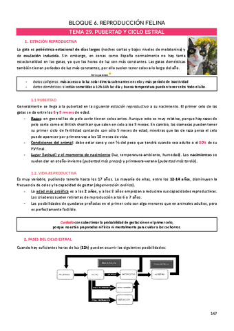 PARCIAL-1.-BLOQUE-GATAS.pdf