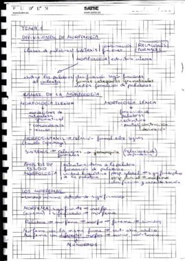 Esquemas de Morfología.pdf