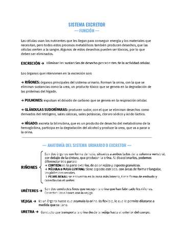 Sistema-Excretor-3-ESO-.pdf