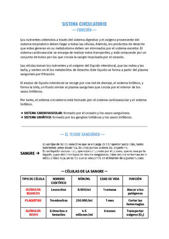 Sistema-Circulatorio-3-ESO-.pdf