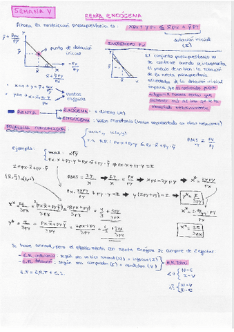 T.-5-y-6-micro.pdf