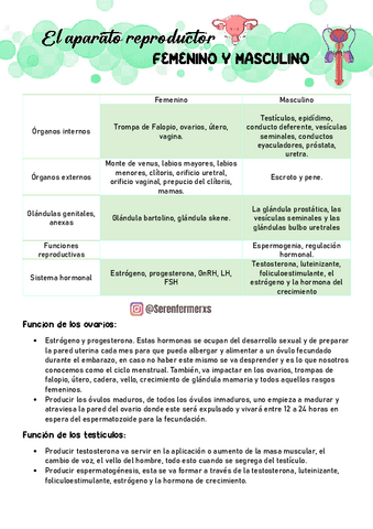 GUIAS-COMPLETA-PRACTICA-3-SERENFERMERXS.pdf