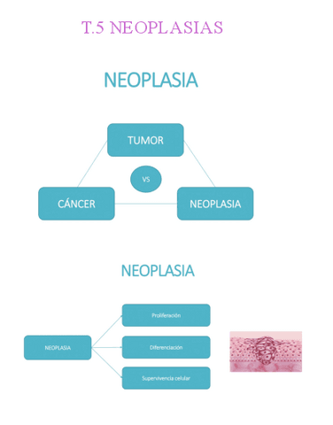 Tema-5-neoplasias-texto.pdf
