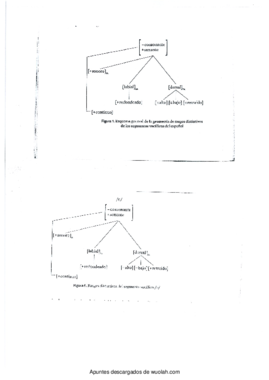 wuolah-free-Geometria de rasgos.pdf