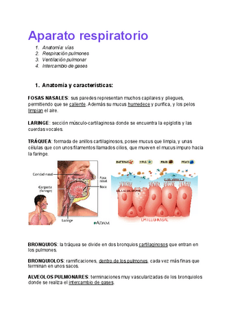 Aparato-respiratorio.pdf