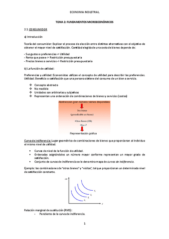 Apuntes-profesor-tema-2-Economia-Industrial.pdf