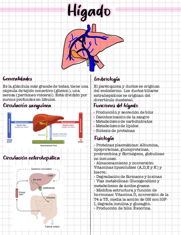 Histologia-del-higado-pancreas-y-vesicula-biliar.pdf