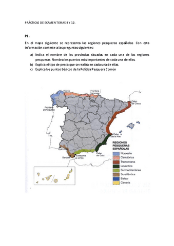 PRACTICAS-DE-EXAMEN-TEMAS-9-Y-10.pdf