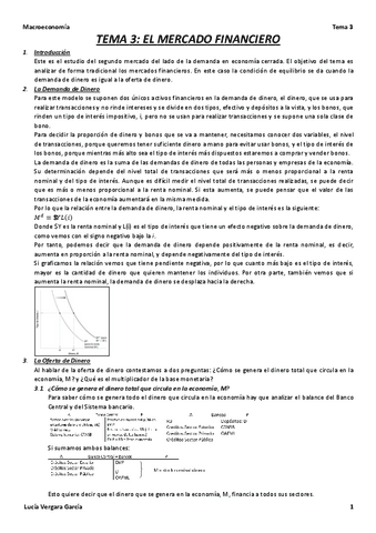 Tema-3-Macro.pdf