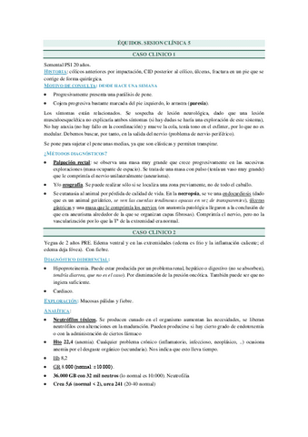 SESIONES-CLINICAS-EQ.-5.pdf