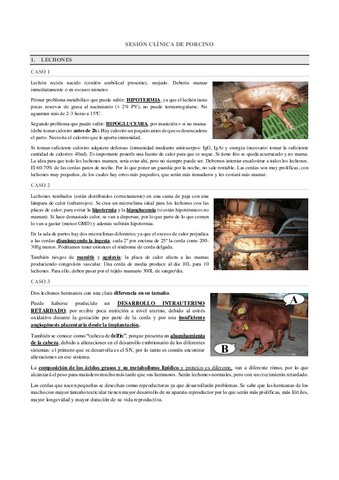 SESIONES-CLINICAS.-PORCINO.pdf