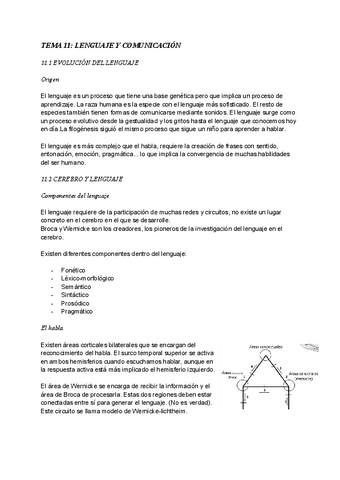 TEMA-11-terminado.pdf