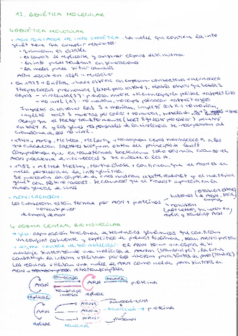 Tema-12-genetica-molecular.pdf