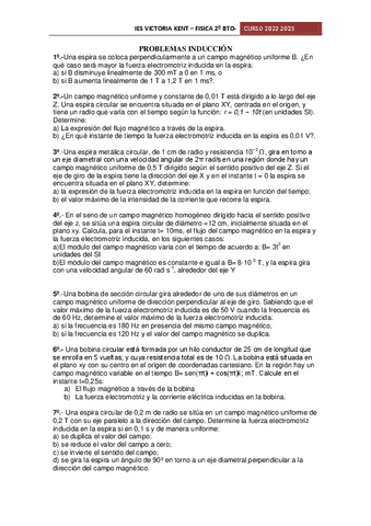 Problemas-EbAU-induccion.pdf
