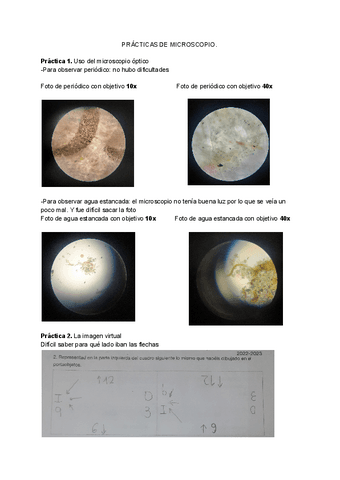 Practica-microscopio-1.pdf
