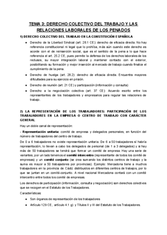 TEMA-3-DERECHO-COLECTIVO-DEL-TRABAJO-Y-LAS-RELACIONES-LABORALES-DE-LOS-PENADOS.pdf