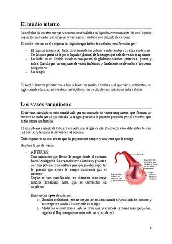El-aparato-circulatorio.pdf