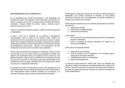 RSC-Resumen.pdf