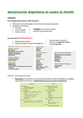 TEMA-GASTROINTESTINAL-CAC-2023.pdf