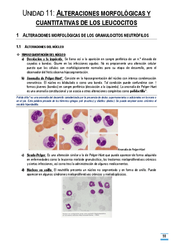 Unidad-11.pdf