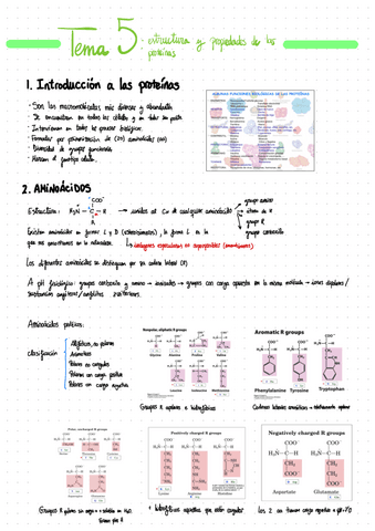 Tema-5-Estructura-Y-Propiedades-De-Las-Proteinas.pdf