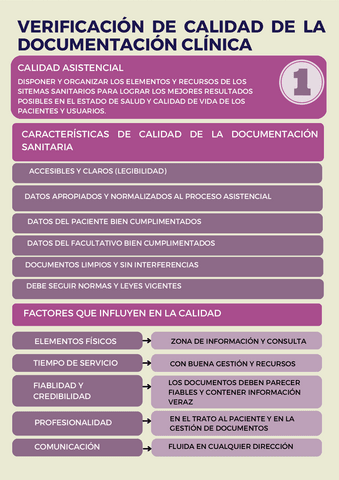 verificacion-de-calidad-de-la-documentacion-clinica-por-naiara-milia.pdf