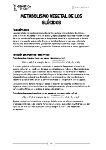 4.-METABOLISMO-VEGETAL-DE-LOS-GLUCIDOS-Qca.-Biologica-Vegetal-Genetica.entubos.pdf