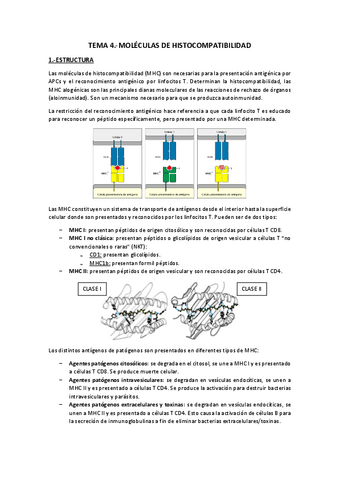 Tema 4.-Moléculas de Histocompatibilidad.pdf