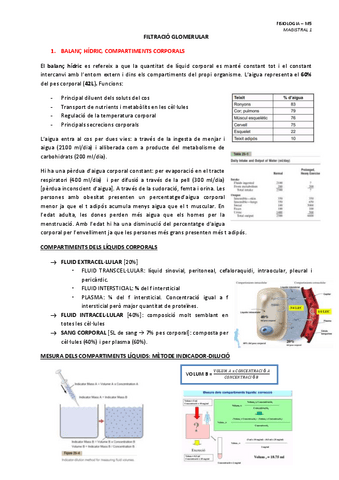 MAGISTRAL-1-FILTRACIO-GLOMERULAR.pdf