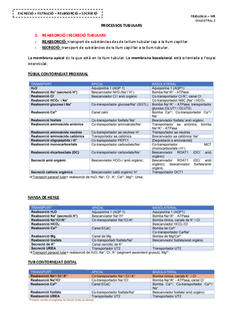 MAGISTRAL-2-PROCESSOS-TUBULARS.pdf
