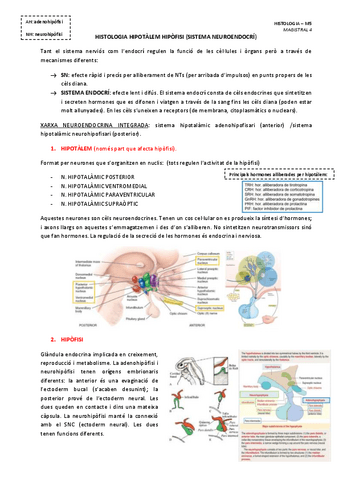 MAGISTRAL-4-HISTOLOGIA-HIPOTALEM-HIPOFISI.pdf