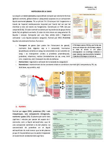 MAGISTRAL-7-HISTOLOGIA-DE-LA-SANG.pdf