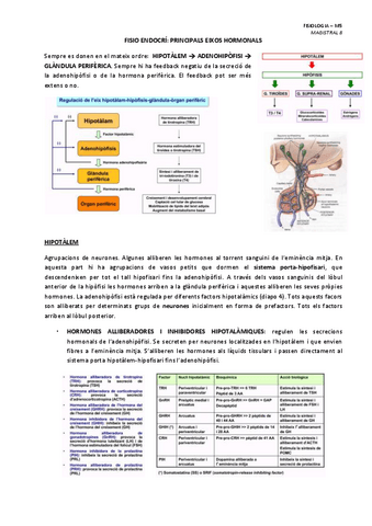 MAGISTRAL-8-EIXOS-HORMONALS.pdf