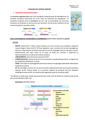 MAGISTRAL-9-FISIOLOGIA-DEL-SISTEMA-ENDOCRI.pdf