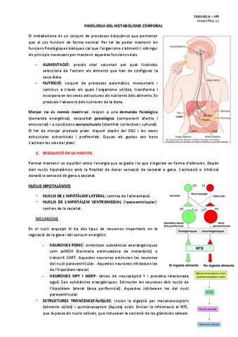 MAGISTRAL-11-FISIOLOGIA-DEL-METABOLISME-CORPORAL.pdf