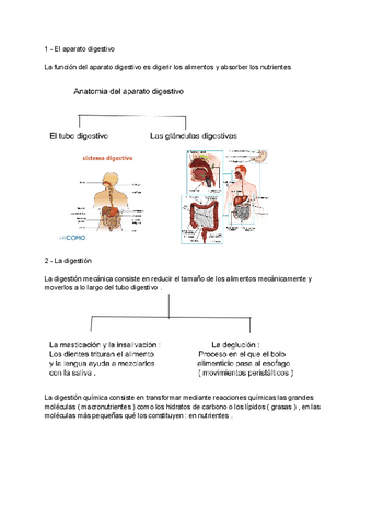 tema-3-de-biologia.pdf