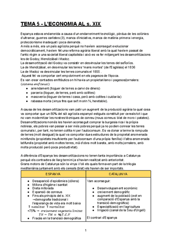 TEMA-5.-Leconomia-al-s.XIX.pdf