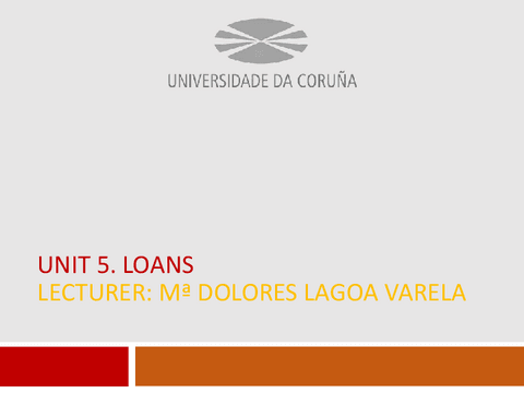 Loans.pdf