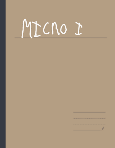 Apuntes-Micro-1.pdf