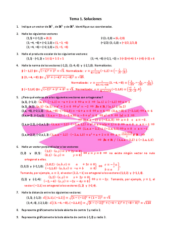 Tema-1.-Ejercicios-de-clase.-Resueltos.pdf