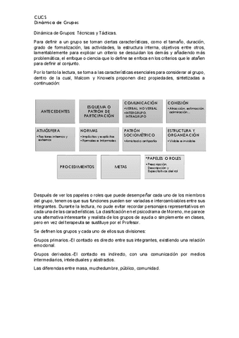 Dinamica-de-Grupos.pdf