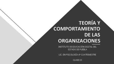 Teoria-y-comportamiento-de-las-organizaciones-Clase-03.pdf