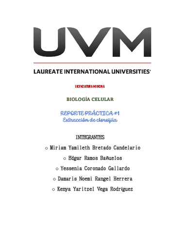 reporte-clorofila.pdf