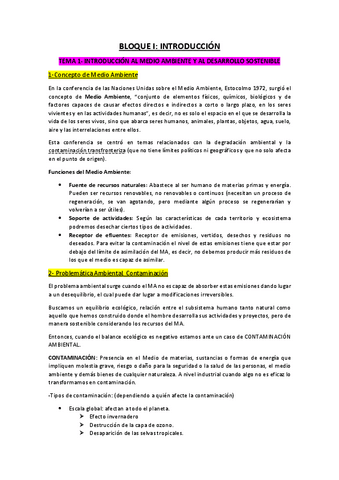 RESUMENES-1oPARCIAL.pdf